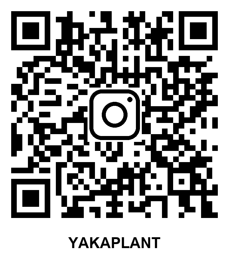 Yakaplant Instagram